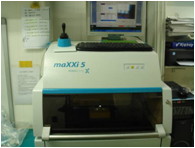 xray